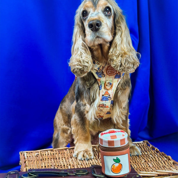 Paddington™ Treat Pouch - Marmalade