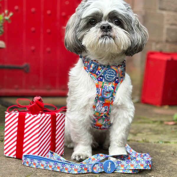 Disney© Lead - Lady + The Tramp