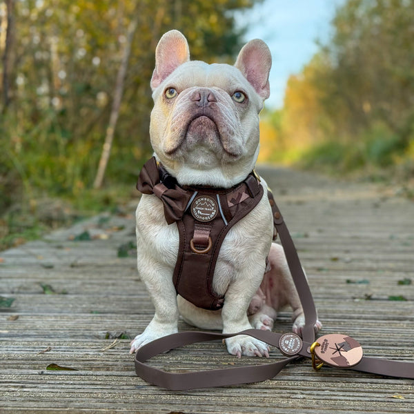 Pawsome Poop Pocket - Walkies Ready® - Chocolate Brown