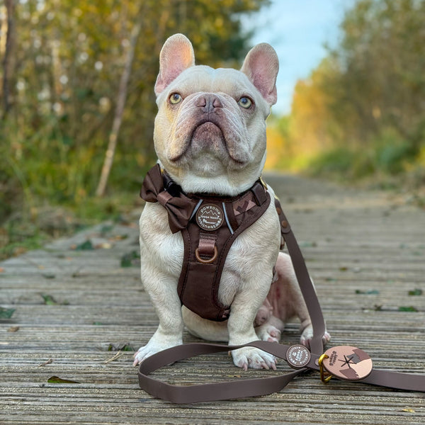 4ft Waterproof Lead - Walkies Ready® Chocolate Brown