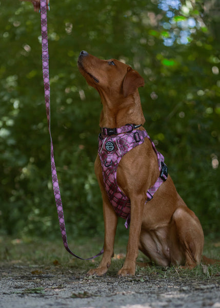 Collar – Mulberry Plaid