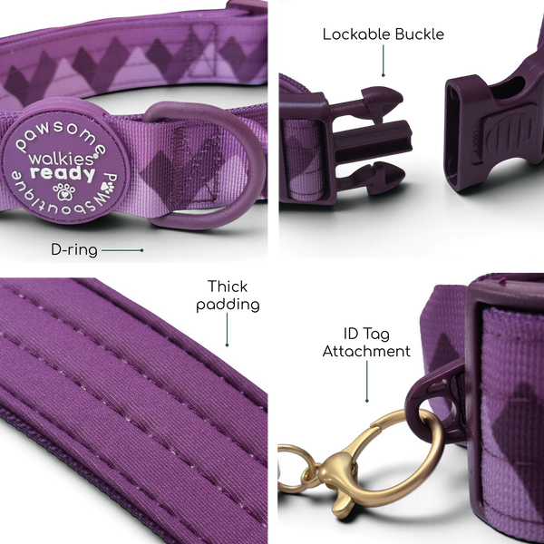 Adventure Collar - Plum (Size Large Only)