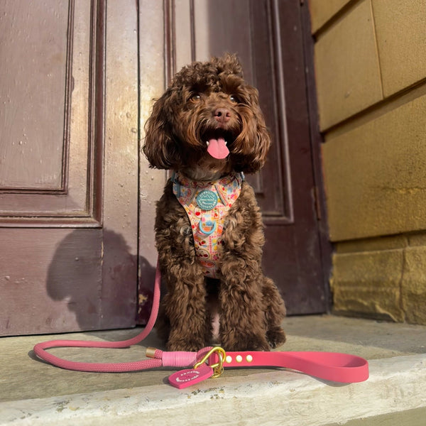 4ft Rope Lead - Pretty Pink