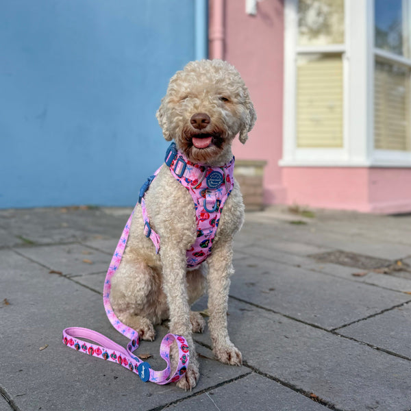 Disney© Lead - Princess