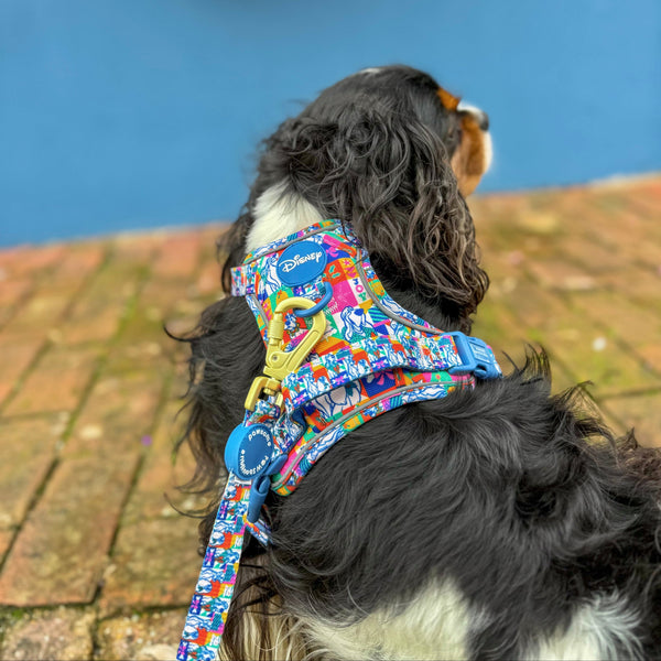 Disney© Lead - Lady + The Tramp