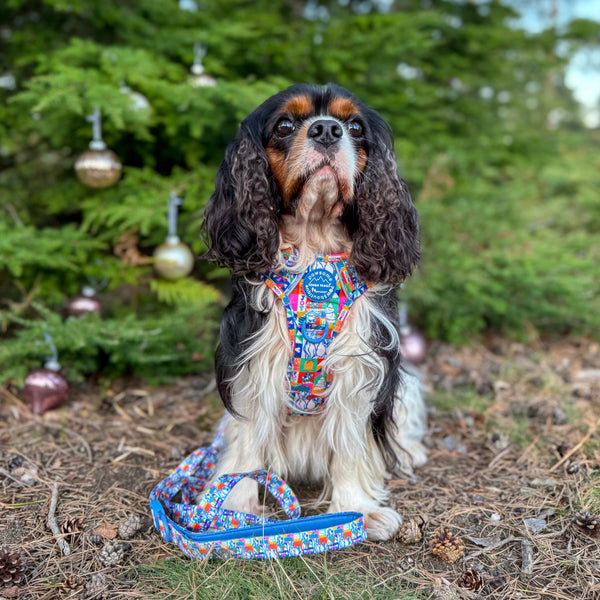 Disney© Lead - Lady + The Tramp