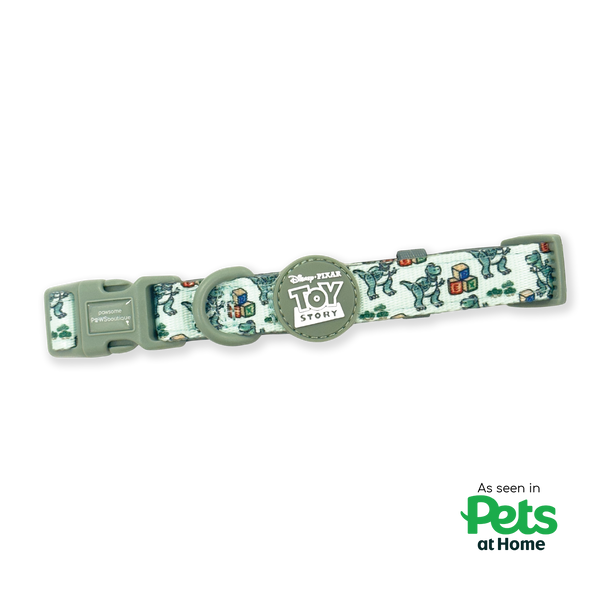 Disney Collar - Rex