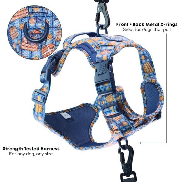 Tough Trails™ Harness -  Rise & Shine