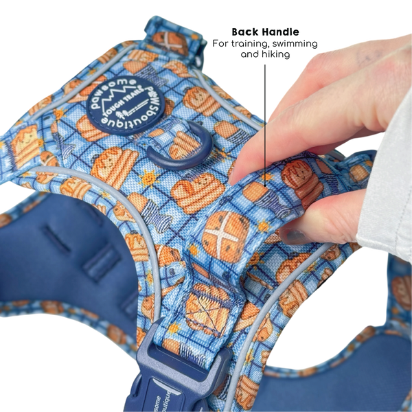 Tough Trails™ Harness -  Rise & Shine