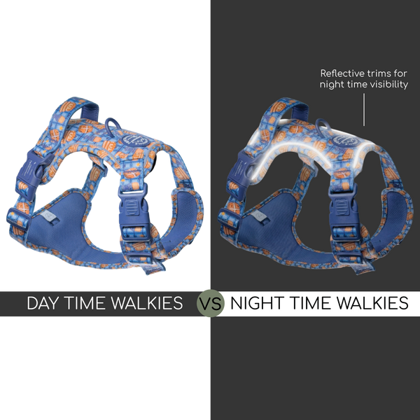 Tough Trails™ Harness -  Rise & Shine