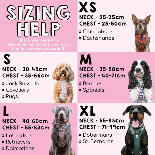 Tough Trails™ Harness - Walkies Ready® Chocolate Brown