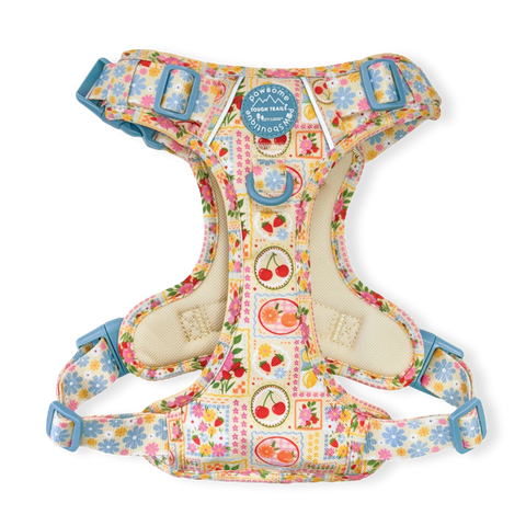 Tough Trails™ Harness -  Summer Vacay