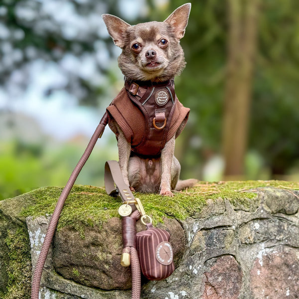 Poo Bag Holder - Walkies Ready® Chocolate Brown