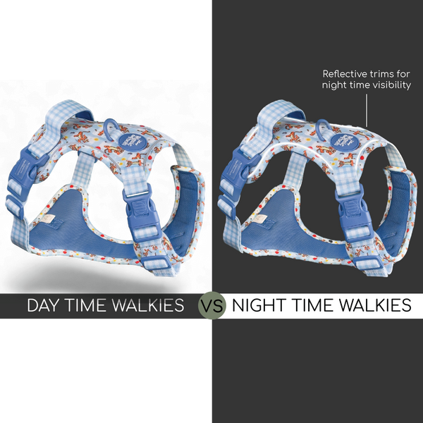 Disney© Tough Trails™ Harness - Tigger