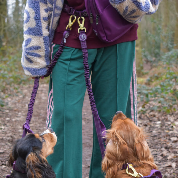 Handsfree Lead - Walkies Ready® Plum