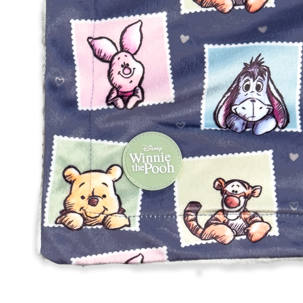 Disney© Dog Blanket - Winnie + Friends (New)