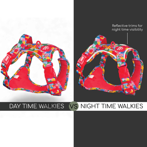 Disney© Tough Trails™ Harness - Winnie Goes Retro