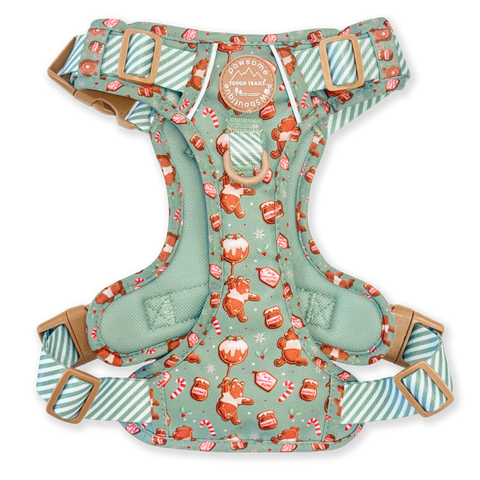 Disney© Tough Trails™ Harness - Gingerbread Bear Sage