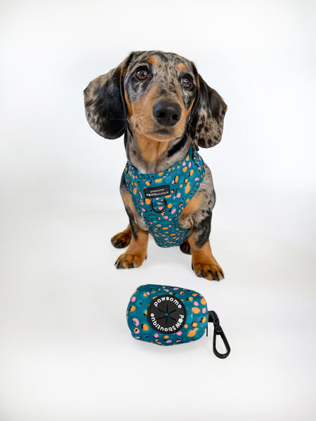 Poo Bag Holder - Teal Leopard