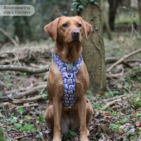 Tough Trails™ Harness -  Winnie + Friends