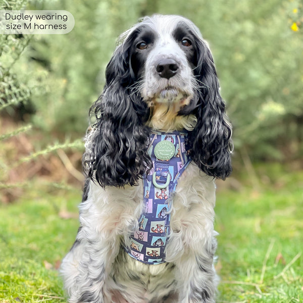 Tough Trails™ Harness -  Winnie + Friends