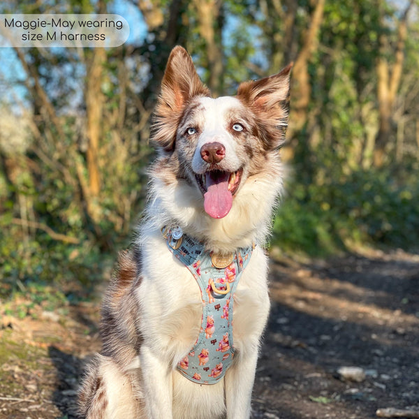 Tough Trails™ Harness - Winnie The Pooh