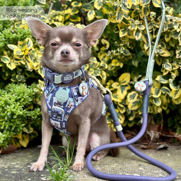 Tough Trails™ Harness -  Winnie + Friends