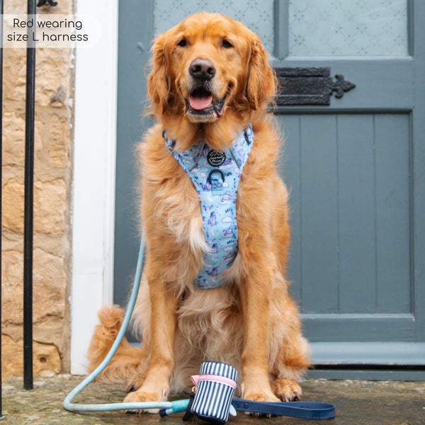 4ft Rope Lead - Eeyore - Baby Blue and Navy