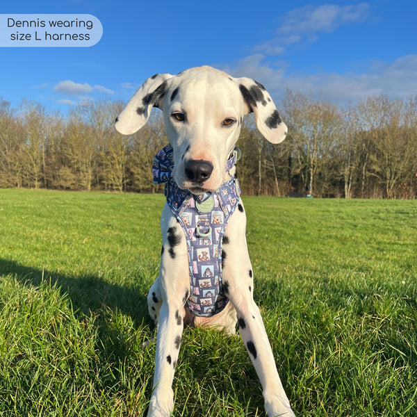 Tough Trails™ Harness -  Winnie + Friends