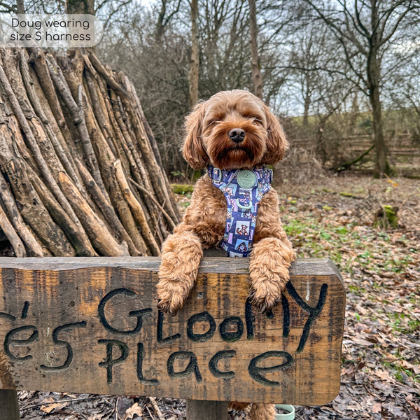 Tough Trails™ Harness -  Winnie + Friends