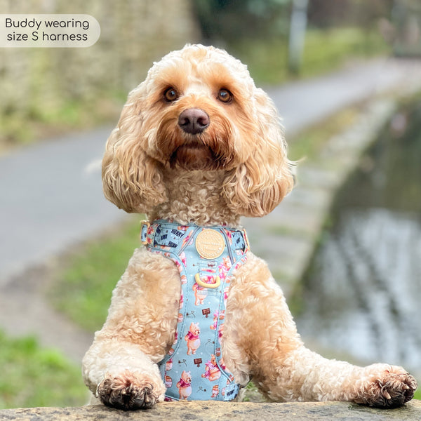 Tough Trails™ Harness - Winnie The Pooh