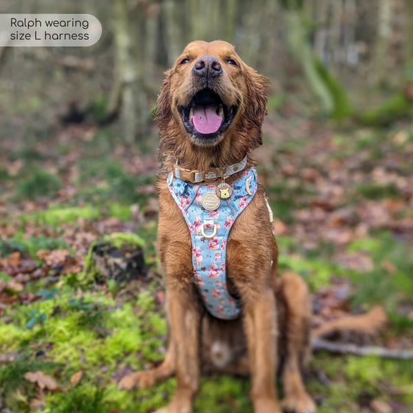 Tough Trails™ Harness - Winnie The Pooh