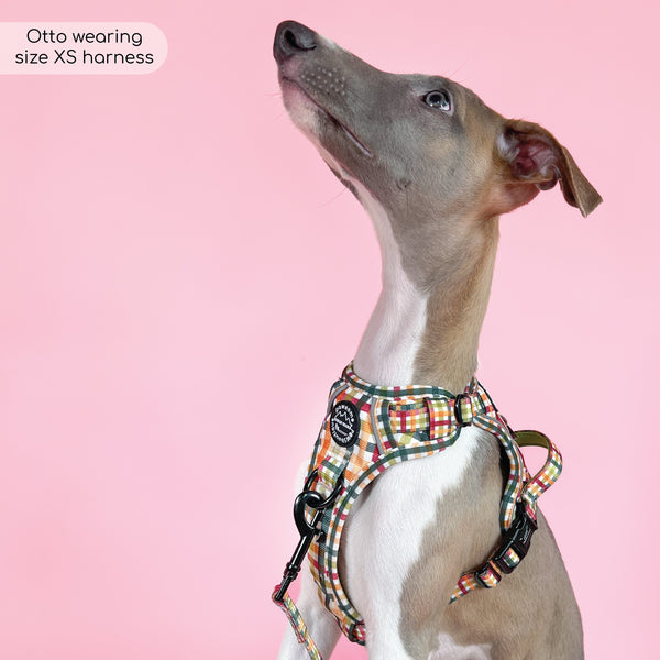 Tough Trails™ Harness - Plaid Pup