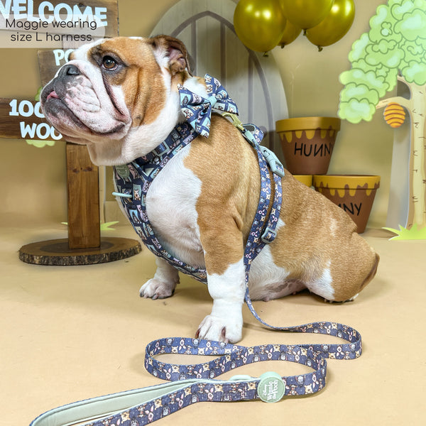 Tough Trails™ Harness -  Winnie + Friends