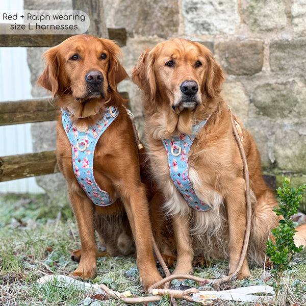 Tough Trails™ Harness - Winnie The Pooh