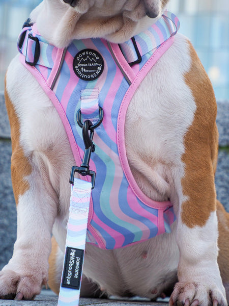 Tough Trails Harness - PPB Pastel Swirl