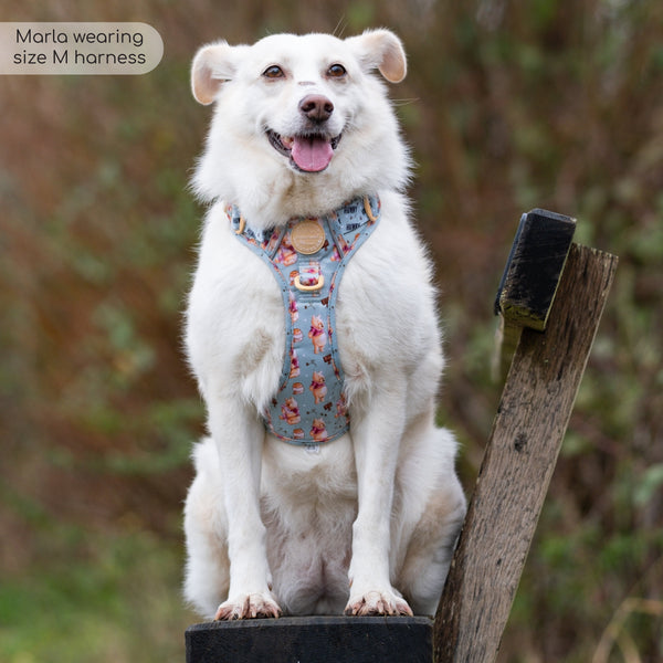 Tough Trails™ Harness - Winnie The Pooh