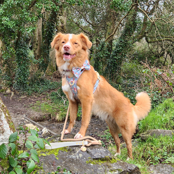 Tough Trails™ Harness - Winnie The Pooh