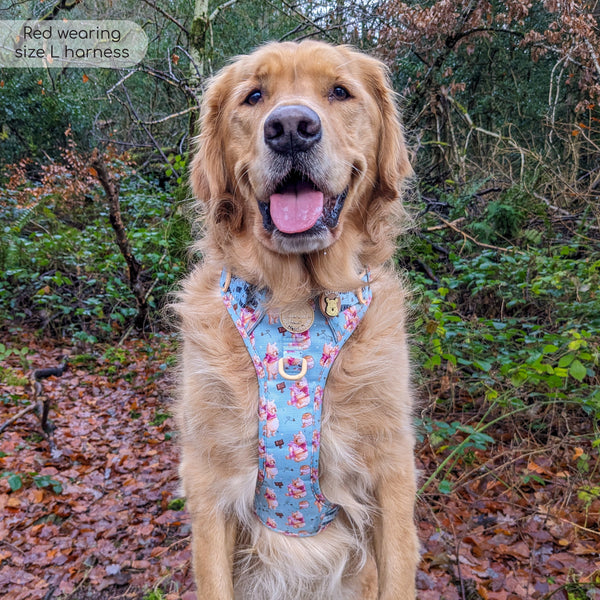 Tough Trails™ Harness - Winnie The Pooh