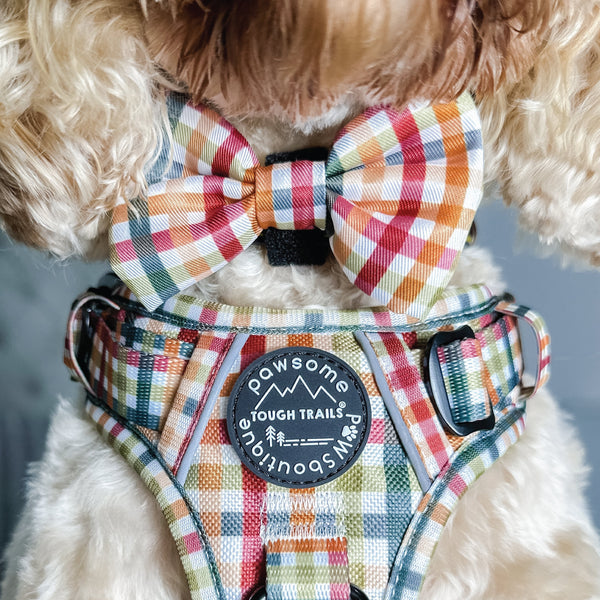 Bow Tie - Plaid Pup