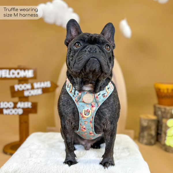 Tough Trails™ Harness - Winnie The Pooh