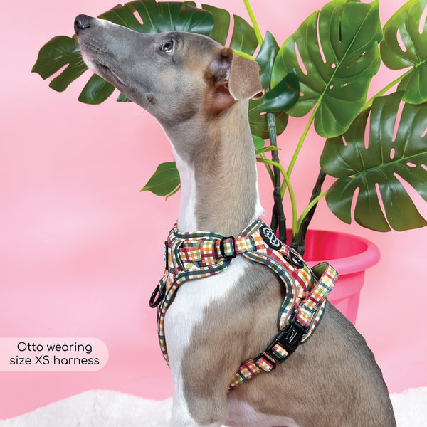 Tough Trails™ Harness - Plaid Pup