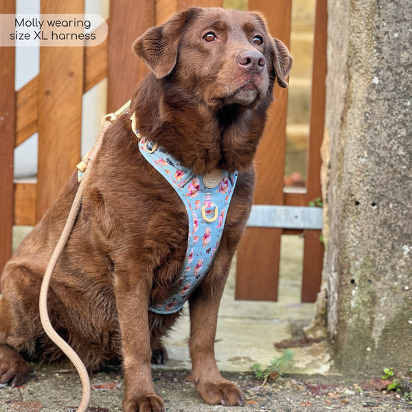 Tough Trails™ Harness - Winnie The Pooh