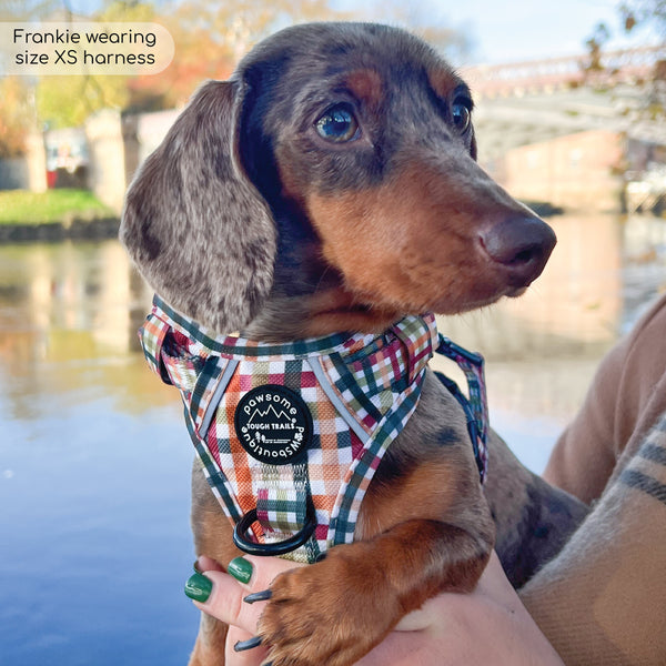 Tough Trails™ Harness - Plaid Pup