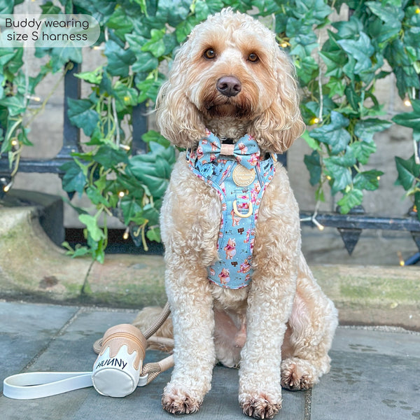 Tough Trails™ Harness - Winnie The Pooh