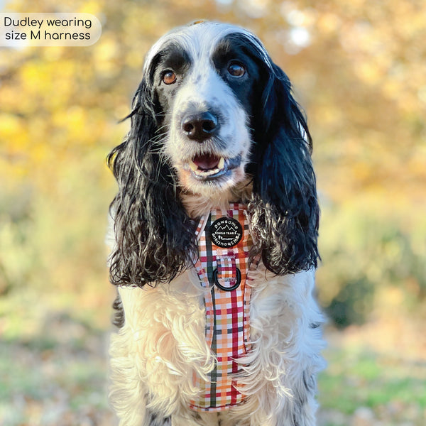 Tough Trails™ Harness - Plaid Pup