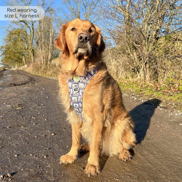 Tough Trails™ Harness -  Winnie + Friends