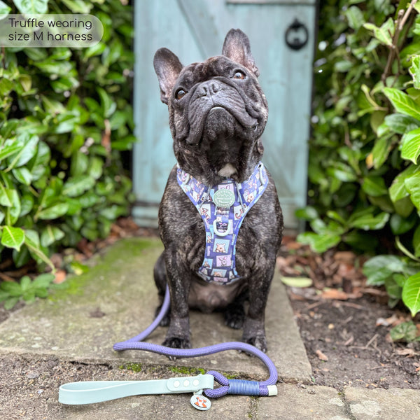 Tough Trails™ Harness -  Winnie + Friends