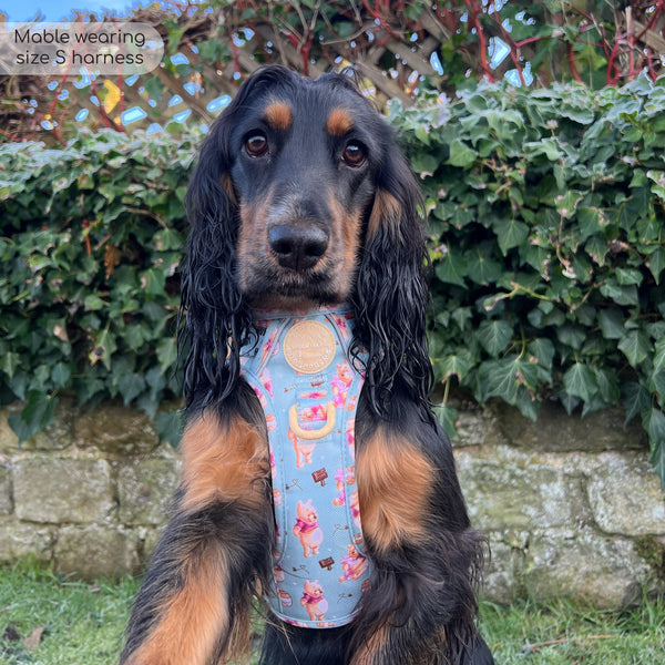 Tough Trails™ Harness - Winnie The Pooh