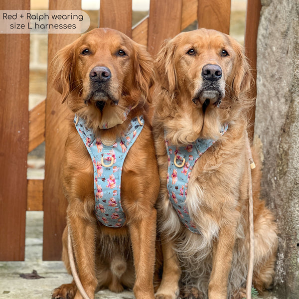 Tough Trails™ Harness - Winnie The Pooh